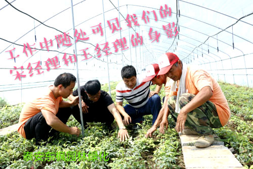 夏日來(lái)臨，當(dāng)你吹空調(diào)喊熱的時(shí)候，讓我?guī)阋黄鹱哌M(jìn)東楓園林體驗(yàn)一下東楓人高溫下工作不一樣的夏日風(fēng)采