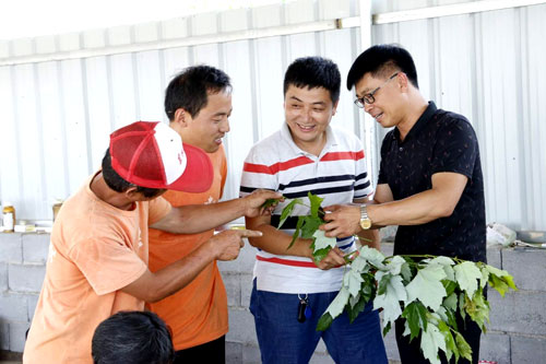 夏日來(lái)臨，當(dāng)你吹空調(diào)喊熱的時(shí)候，讓我?guī)阋黄鹱哌M(jìn)東楓園林體驗(yàn)一下東楓人高溫下工作不一樣的夏日風(fēng)采